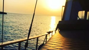 sunset-cruise-1