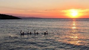 sunset-cruise-4
