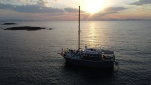 Night Cruise in Athens: Experience the Riviera After Sunset